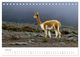 Thumbnail-12