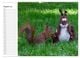 Thumbnail-13