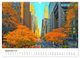 Thumbnail-11