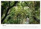 Thumbnail-9