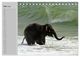 Thumbnail-8