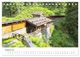 Thumbnail-10