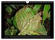 Thumbnail-10