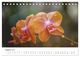 Thumbnail-10