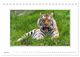 Thumbnail-9