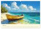 Thumbnail-9