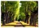 Thumbnail-13