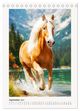 Thumbnail-14