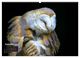 Thumbnail-13