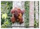 Thumbnail-11