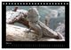 Thumbnail-7