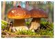Thumbnail-11