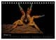 Thumbnail-12