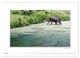 Thumbnail-9
