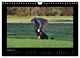 Thumbnail-10