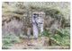 Thumbnail-12