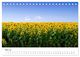 Thumbnail-10