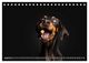 Thumbnail-13