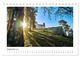 Thumbnail-14