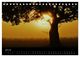 Thumbnail-9