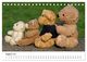 Thumbnail-13