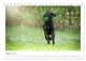 Thumbnail-12
