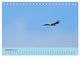 Thumbnail-11