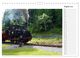 Thumbnail-13