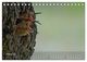 Thumbnail-12