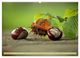 Thumbnail-14