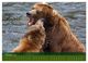 Thumbnail-12