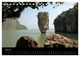 Thumbnail-12