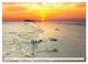 Thumbnail-14
