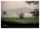 Thumbnail-12