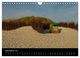 Thumbnail-11
