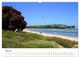 Thumbnail-11