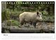 Thumbnail-10