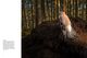 Thumbnail-11