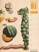 Thumbnail-20
