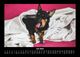 Thumbnail-11