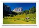 Thumbnail-8