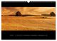 Thumbnail-10