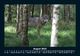 Thumbnail-12