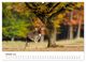 Thumbnail-12
