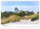 Thumbnail-13