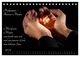 Thumbnail-12