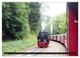 Thumbnail-11