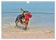 Thumbnail-13