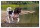 Thumbnail-12