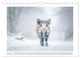 Thumbnail-7